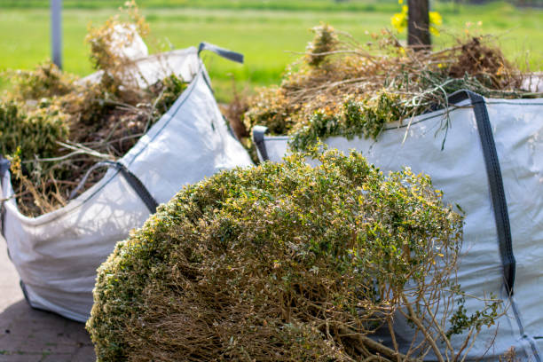 Best Commercial Cleanout Services  in Dinuba, CA